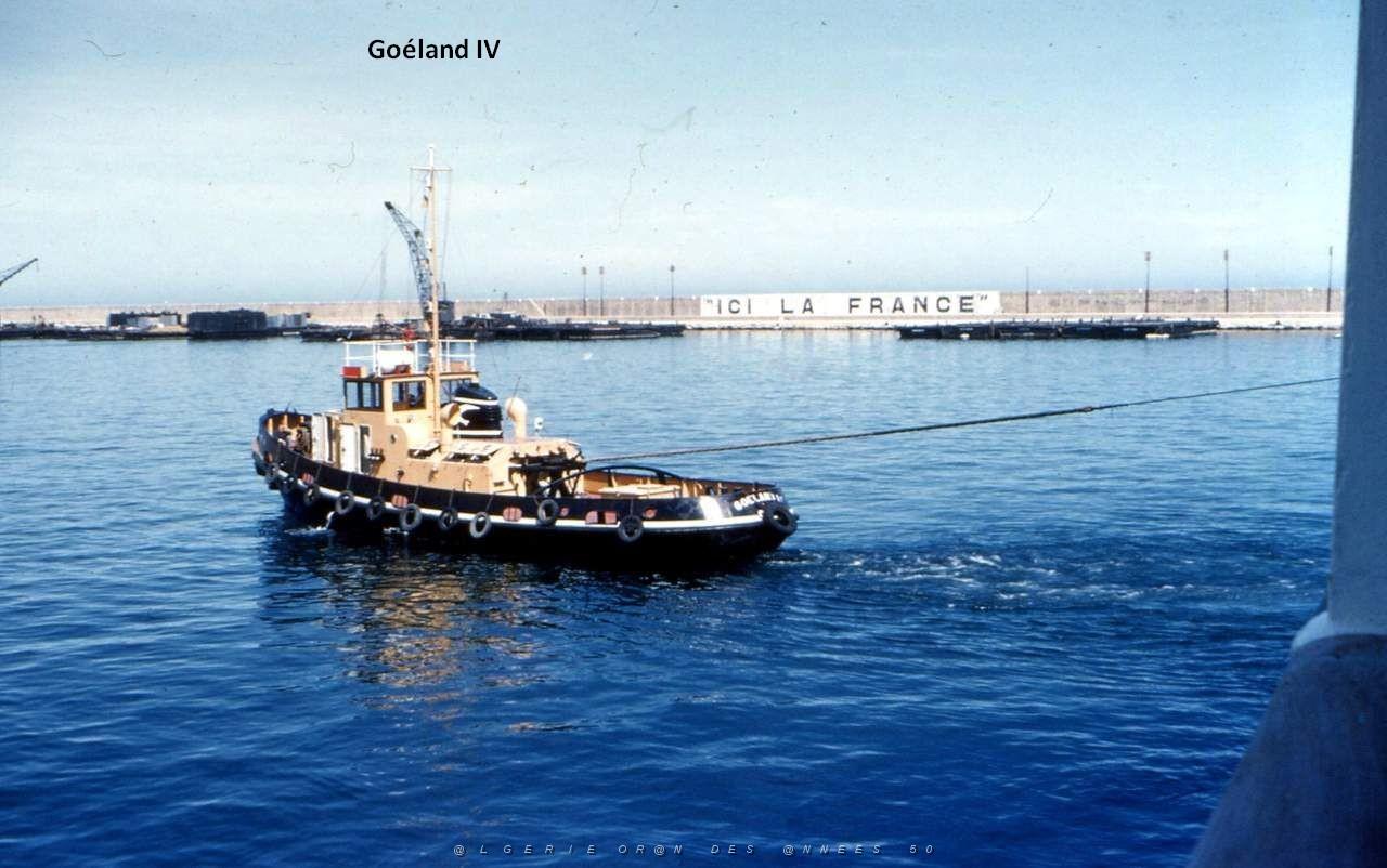 GOELAND IV 07.jpg